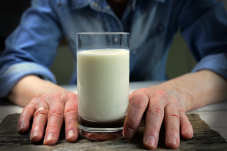 Uni�n de Uniones alerta de bajadas de precio en la leche y anuncia una...