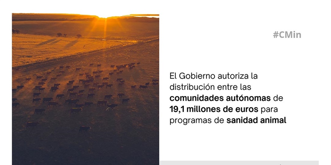 El Gobierno da luz verde a repartir 19 millones de euros en programas...