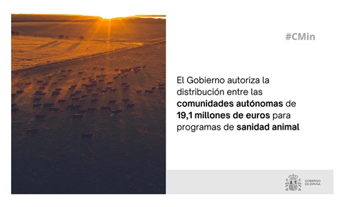 El Gobierno da luz verde a repartir 19 millones de euros en programas...