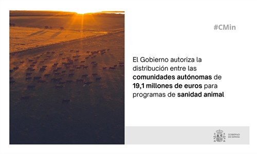 El Gobierno da luz verde a repartir 19 millones de euros en programas...