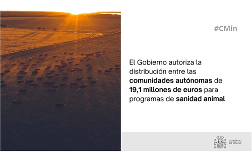 El Gobierno da luz verde a repartir 19 millones de euros en programas...