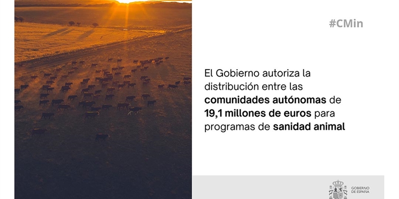 El Gobierno da luz verde a repartir 19 millones de euros en programas de sanidad animal