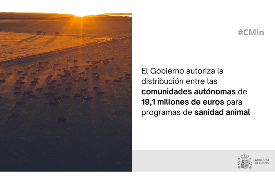 El Gobierno da luz verde a repartir 19 millones de euros en programas...