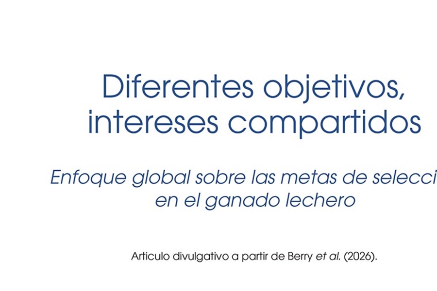 Diferentes objetivos, intereses compartidos: Enfoque global sobre las...