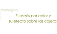 El estr�s por calor y su efecto sobre las cojeras