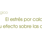 El estr�s por calor y su efecto sobre las cojeras