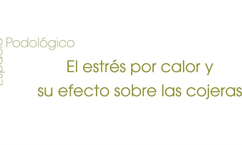 El estr�s por calor y su efecto sobre las cojeras
