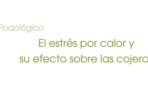 El estr�s por calor y su efecto sobre las cojeras