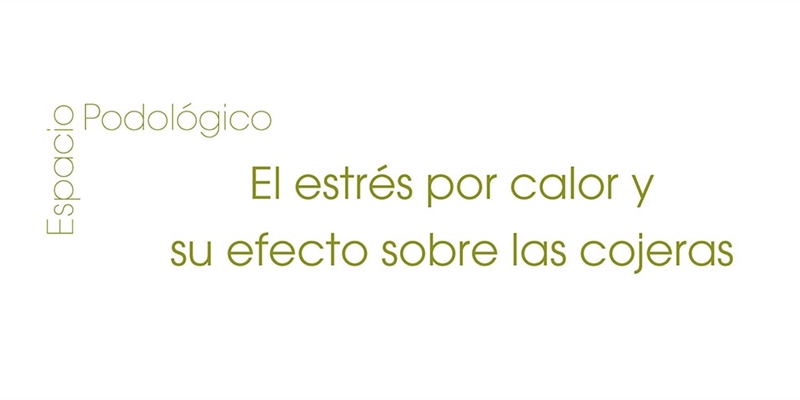 El estr�s por calor y su efecto sobre las cojeras