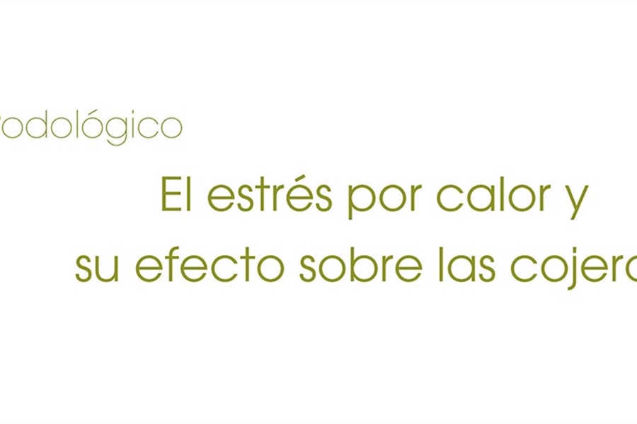 El estr�s por calor y su efecto sobre las cojeras