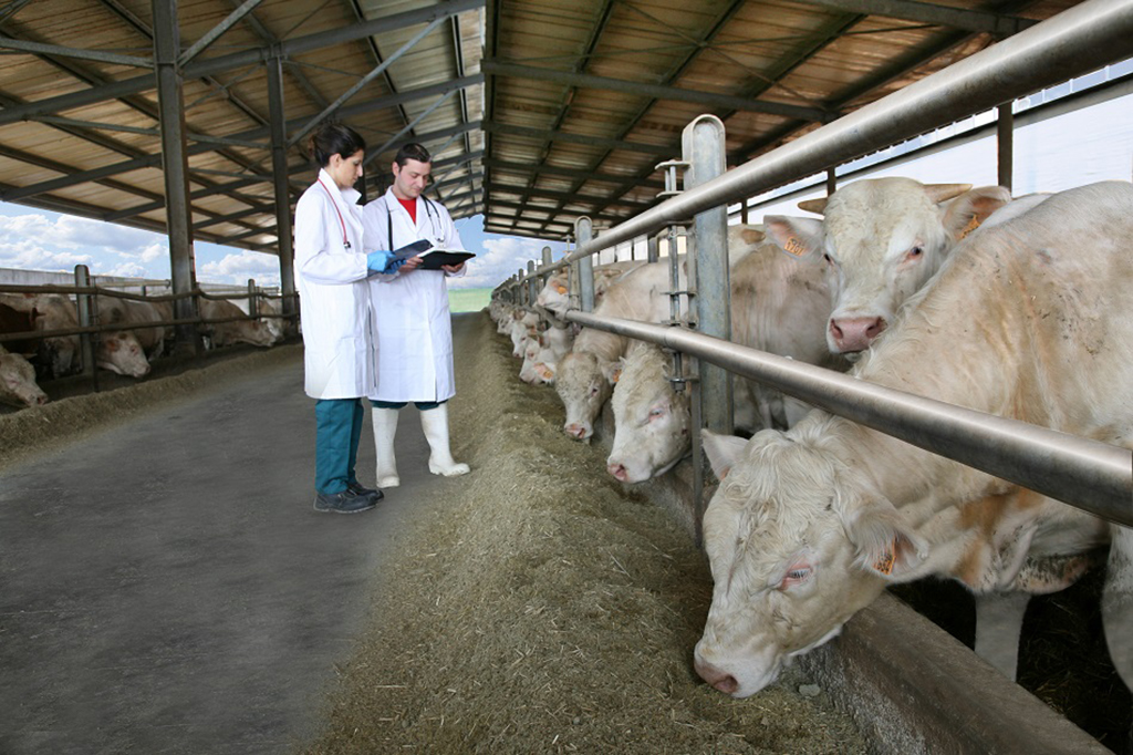 “Promoting the health and welfare of animals by combating pathogens”