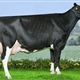 2011: Pacho Goldwyn Telva (Badiola y Casa Pacho, Asturias)