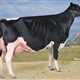 Primavera 2015: Algendar Goldwyn Jara (Algendar, Baleares)