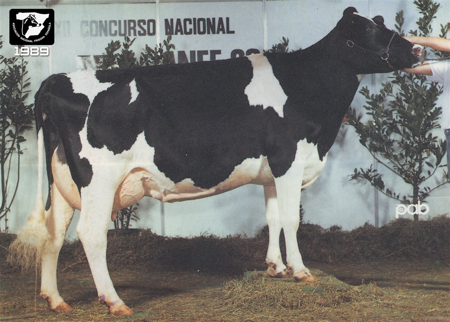 1989: Par Feliz Excellency (El Parral, Guadalajara)