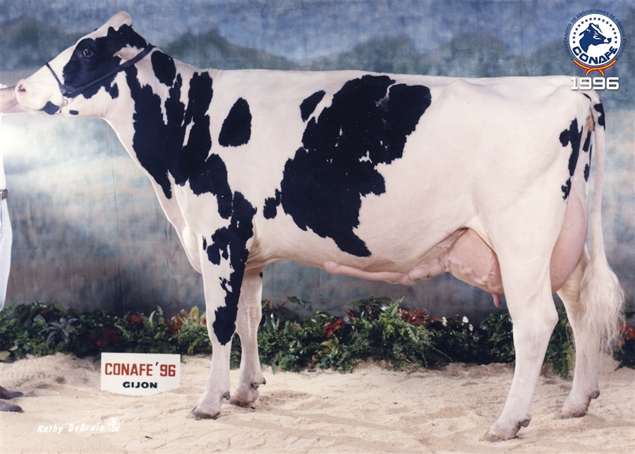 1996: Retortillo Lindy Pisde (Granja de Retortillo, Burgos, Castilla y Len)