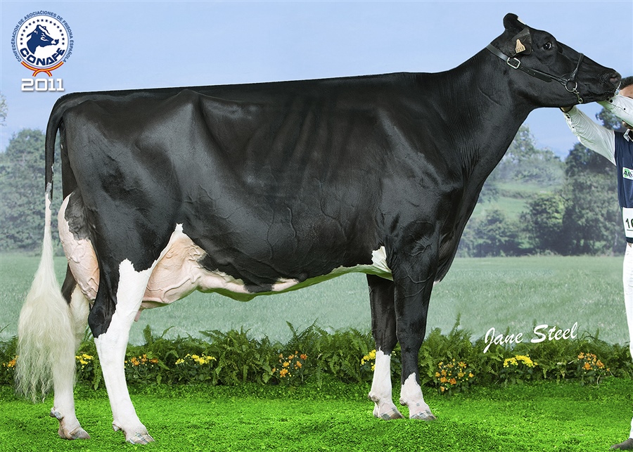 2011: Pacho Goldwyn Telva (Badiola y Casa Pacho, Asturias)