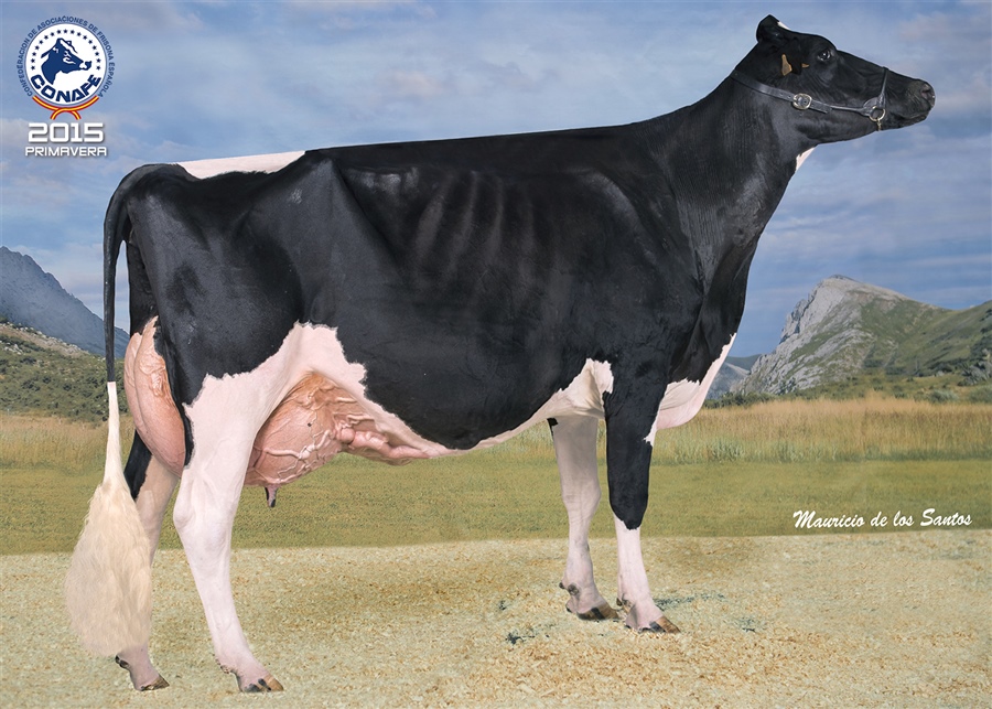 Primavera 2015: Algendar Goldwyn Jara (Algendar, Baleares)