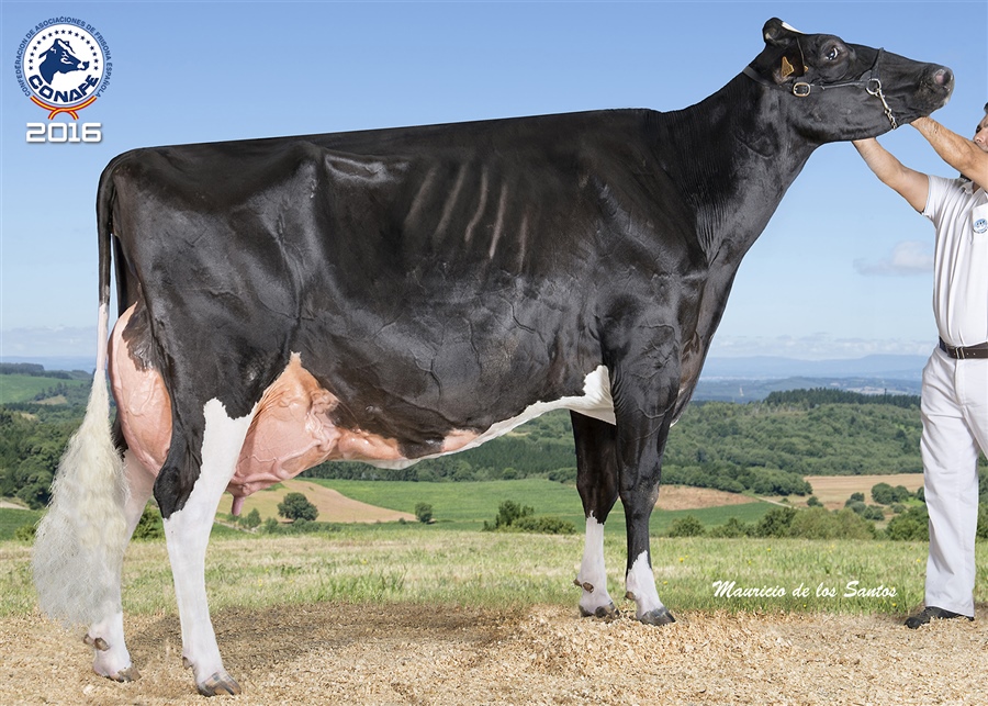 2016: Pacho Goldwyn Telva (Badiola y Casa Pacho, Asturias)