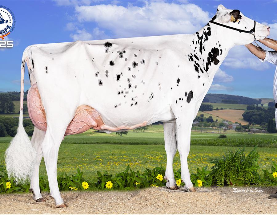 2025: Venturo Happen Rosani (Casa Venturo, Asturias)