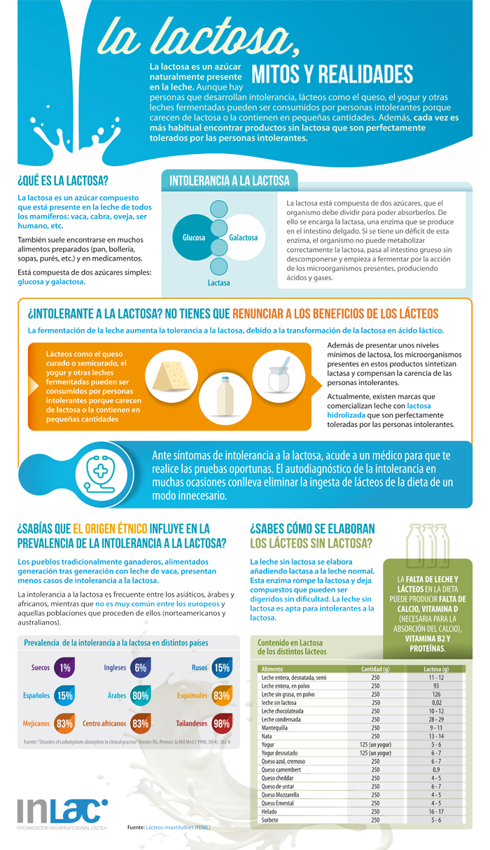 La infografía publicada por InLac, la interprofesional que engloba al sector lácteo, busca aclarar los mitos y realidades existentes en torno a la lactosa.
