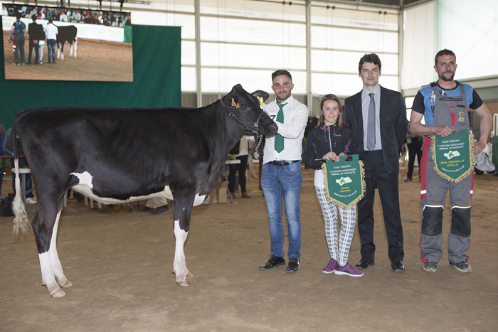 H. Coronel Doberman Tomasa 0470, de Huerta el Coronel, ganadora del ttulo Gran Campeona de Novillas de Andaluca