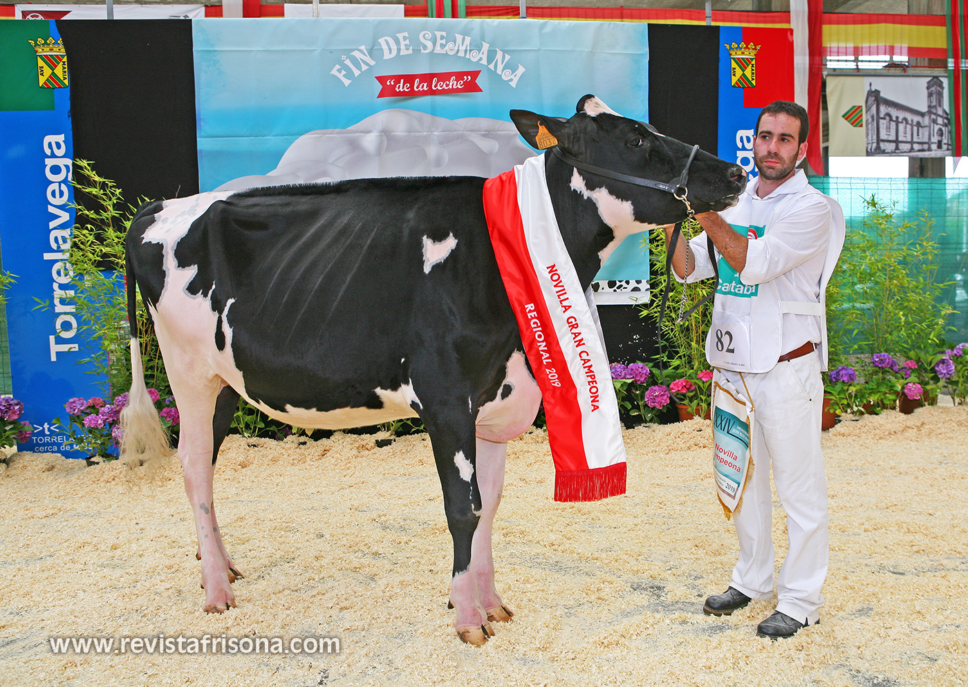 Gran Campeona de Novillas Cantabria 2019