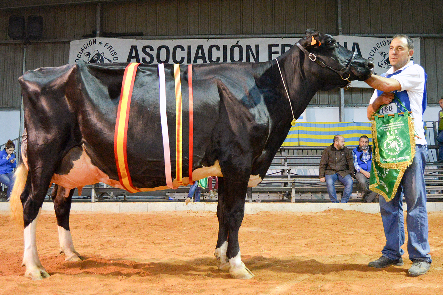 La Vaca Gran Campeona de Menorca 2017 fue Binillubet Talent Ftima de la Ganadera Binillubet