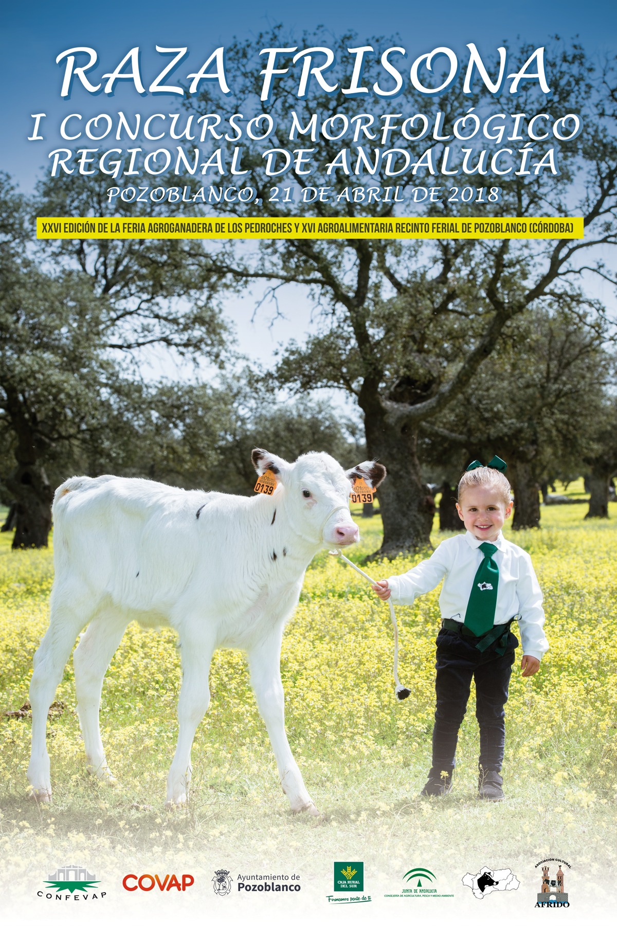 Pozoblanco acoger el I Concurso Morfolgico Regional de Andaluca de la Raza Frisona