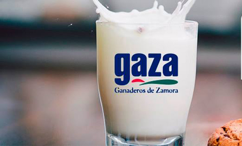 Leche Gaza incrementa su facturacin casi un 10% hasta los 32,5 millones anuales 