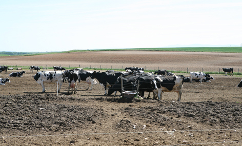 El BOE recoge la modificacin del Plan Renove de maquinaria agraria para incluir las cisternas de purines