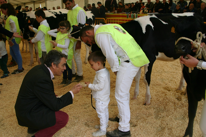 Seccin infantil del Concurso de Raza Frisona de Campllong