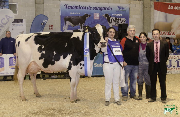 Manteiga Shottle Luna, Vaca Gran Campeona del Concurso de Ganado Frisn de Moexmu Muimenta (Lugo)