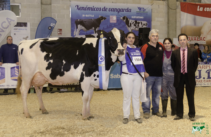 Manteiga Shottle Luna, Vaca Gran Campeona del Concurso de Ganado Frisón de Moexmu Muimenta (Lugo)