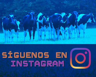 Pgina de CONAFE y Revista Frisona Espaola en INSTAGRAM